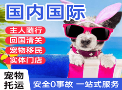 白山长白山机场物流国际宠物托运 【国